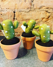 Felted Terra Cotta Cactus - Leikey Designs