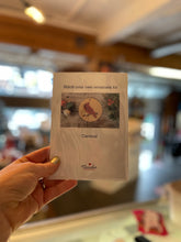DIY Christmas Ornament Kits!
